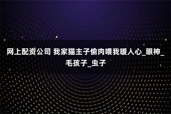 网上配资公司 我家猫主子偷肉喂我暖人心_眼神_毛孩子_虫子