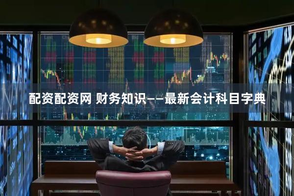 配资配资网 财务知识——最新会计科目字典
