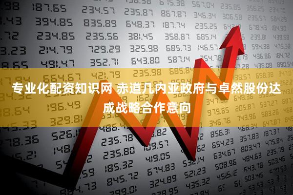 专业化配资知识网 赤道几内亚政府与卓然股份达成战略合作意向