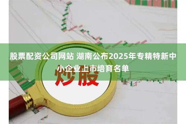 股票配资公司网站 湖南公布2025年专精特新中小企业上市培育名单